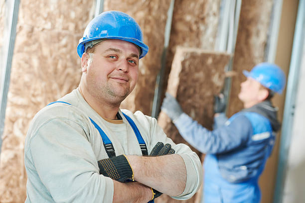 Best Insulation Maintenance and Repair in Fall River, WI