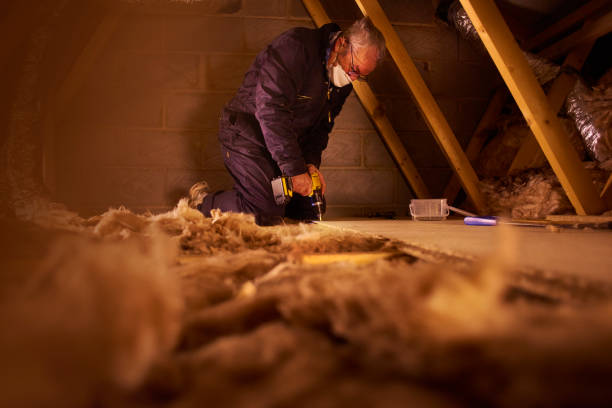 Best Insulation Installation Services in Fall River, WI